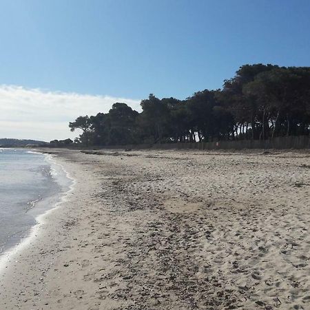 Villa Le Grilladou Hyères Eksteriør billede